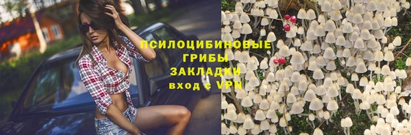 дживик Волоколамск