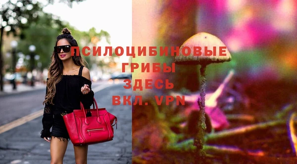 эйфоретик Вязники
