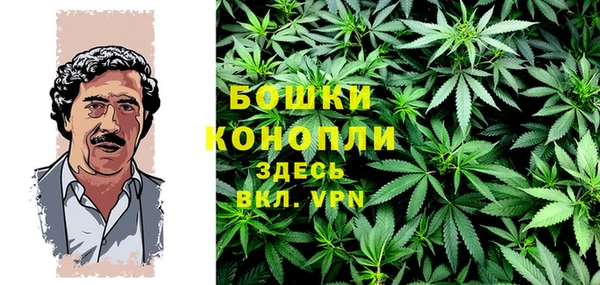 эйфоретик Вяземский
